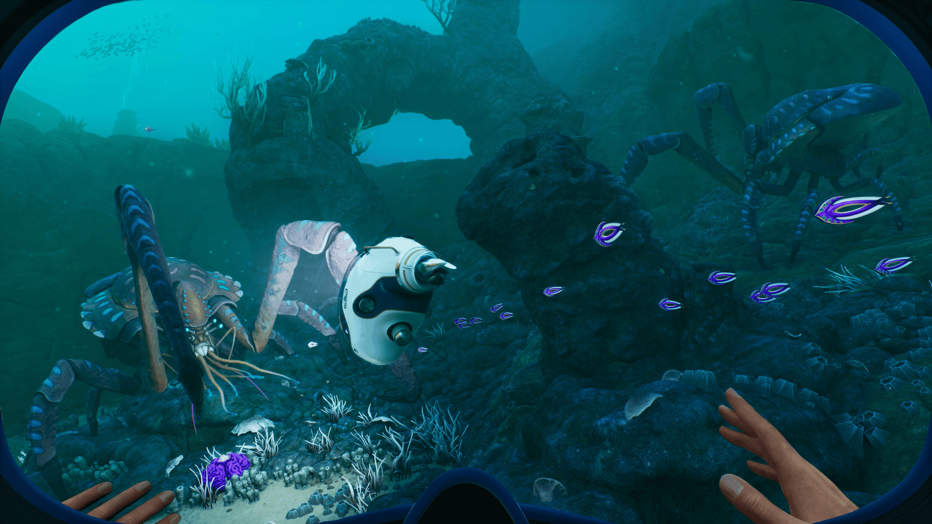 Phương tiện Tadpole màu trắng ở bên trái, xung quanh có cá tím và vòm đá dưới nước trong Subnautica 2.